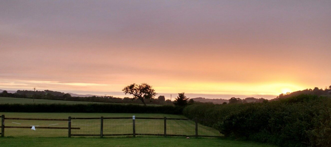 Evening light over the field and fence line