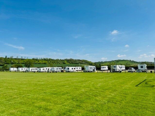 Grass pitches with caravans on a sunny day