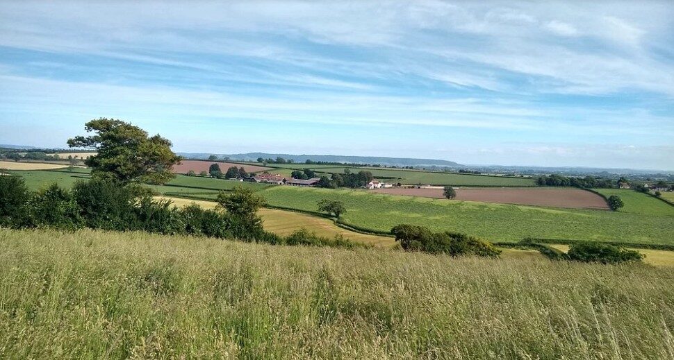 Green fields and the view across the Levels